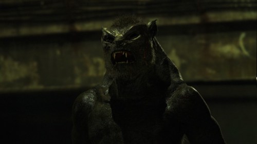 Lycandigitalframestore