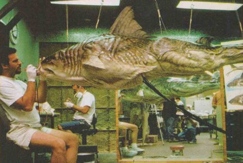 PeterBenchleyCreatureswimmingversion