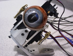 The finished eye mechanism, still devoid of the 'eyelid' membrane.
