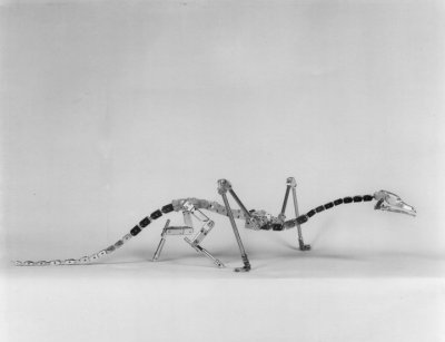 Vermithraxarmature