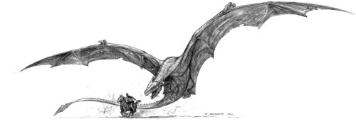Dragonearlyconcept