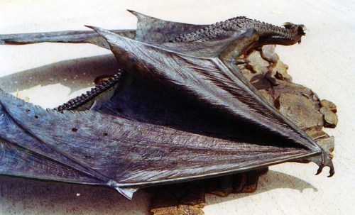 Dragonmaquetteotherside