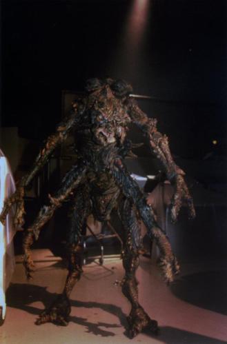 The 'walker' MartinFly.