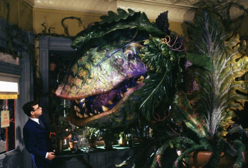 AudreyIIbacktalksagain