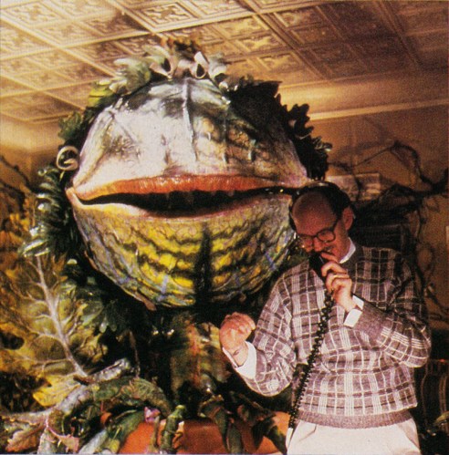 An important phone call!