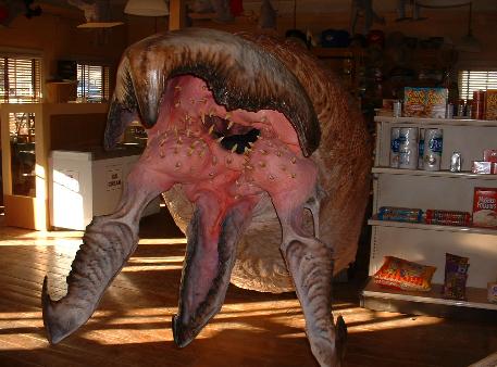 GraboidBlancofrontjaws