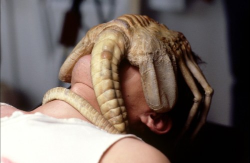 AlienFacehugger2