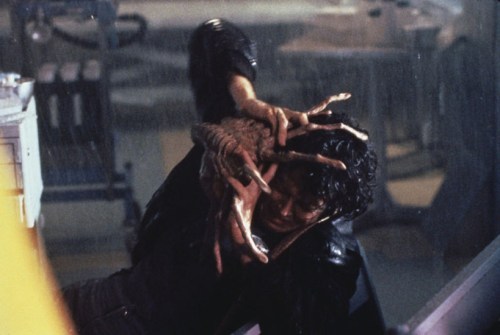 AliensFacehuggerwantshug