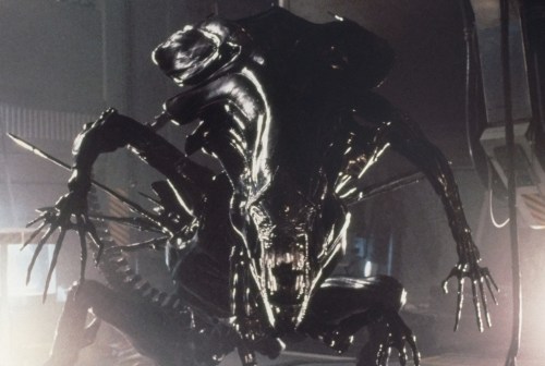 aliensqueenawesomewow