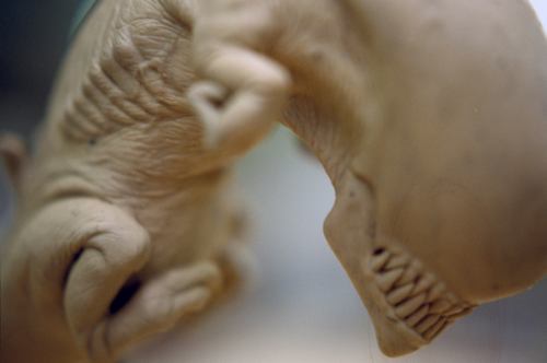 The Queenburster sculpture.