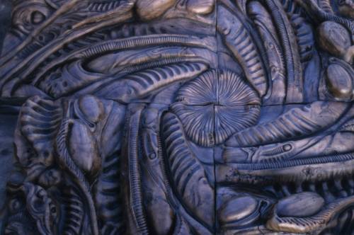 Alienresviperpitcloseup