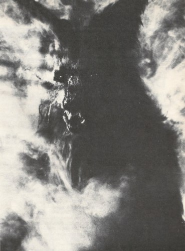 Howlingblackandwhite