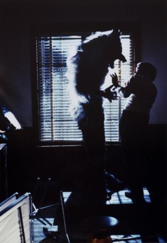 Howlingdirectindefin