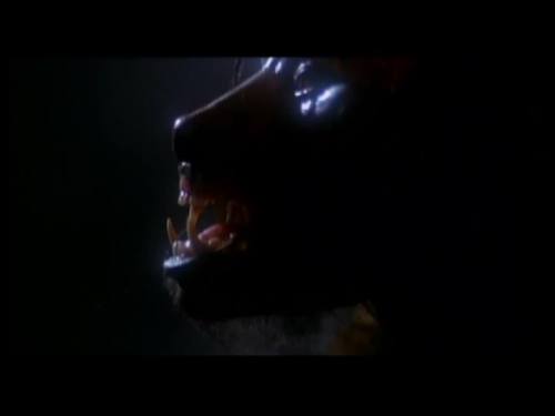 Howlingtranstestwagner