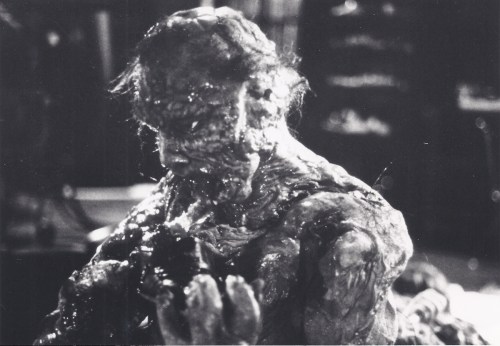 Brundlefly5extendojaw