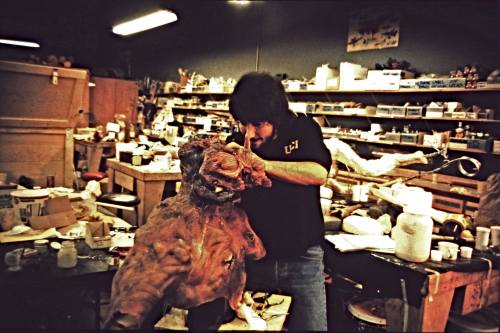 Brundleflyextendohead