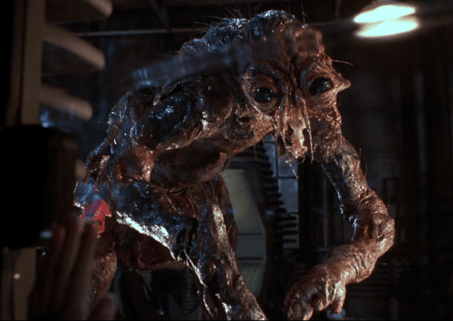 Brundleflyinthemovie