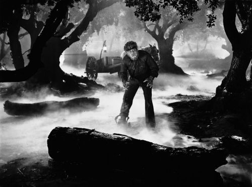 wolfman1941inthewoods