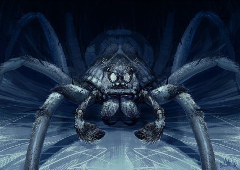 Aragog – Monster Legacy