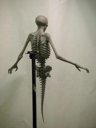 dementormaquetteback