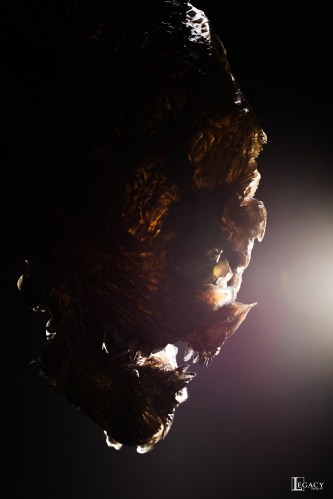 The dead Nostromo Alien.